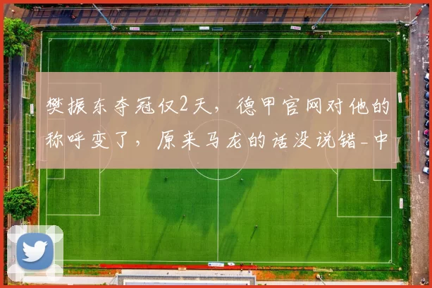 樊振东夺冠仅2天,德甲官网对他的称呼变了,原来马龙的话没说错_中国_体育_职业