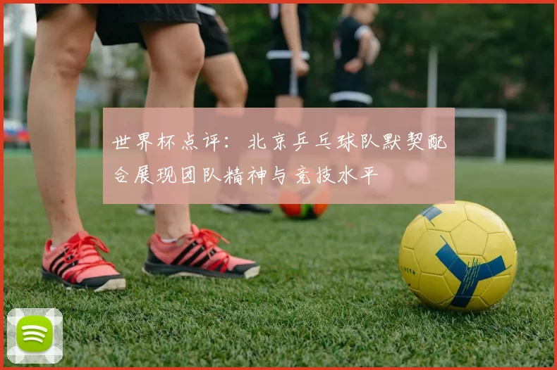 世界杯点评：北京乒乓球队默契配合展现团队精神与竞技水平