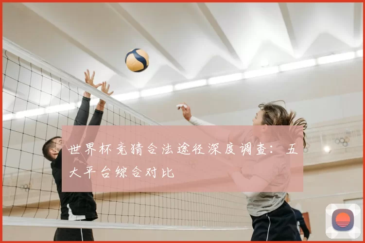 世界杯竞猜合法途径深度调查:五大平台综合对比