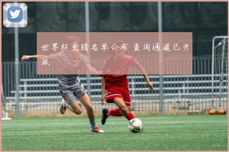 世界杯竞猜名单公布 查询通道已开放