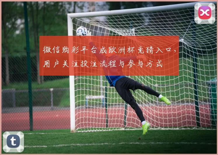 微信购彩平台成欧洲杯竞猜入口,用户关注投注流程与参与方式
