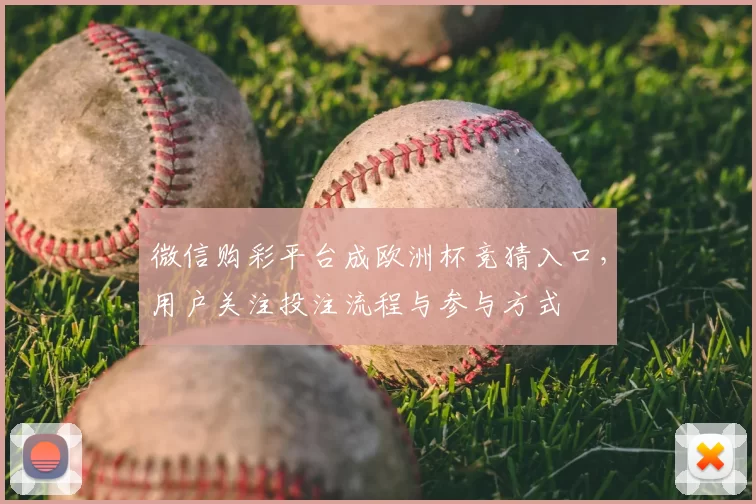 微信购彩平台成欧洲杯竞猜入口，用户关注投注流程与参与方式