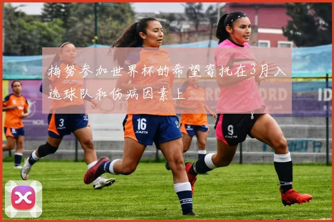 梅努参加世界杯的希望寄托在3月入选球队和伤病因素上