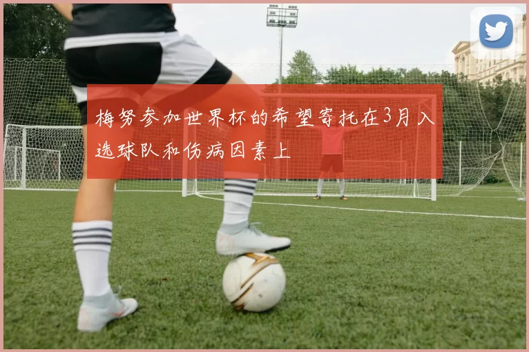 梅努参加世界杯的希望寄托在3月入选球队和伤病因素上