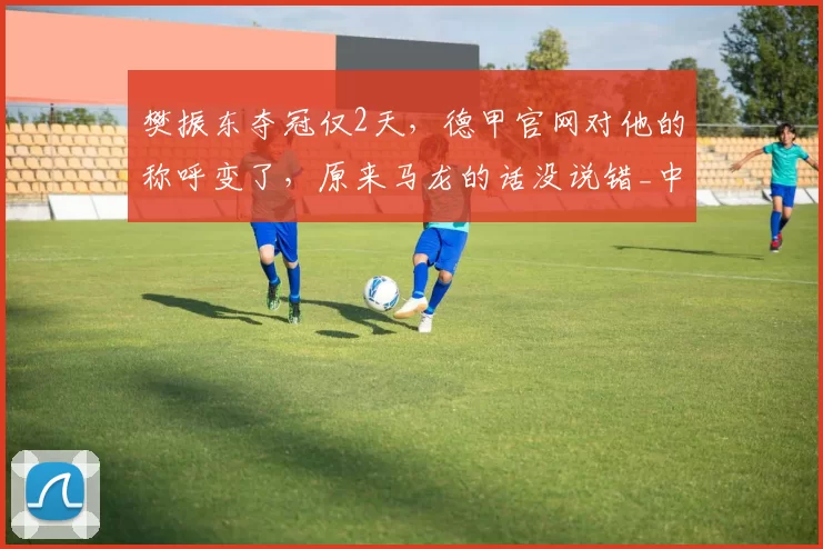樊振东夺冠仅2天,德甲官网对他的称呼变了,原来马龙的话没说错_中国_体育_职业