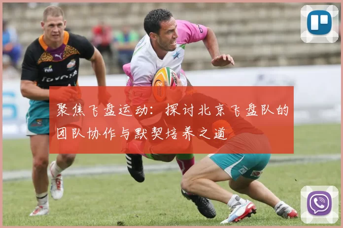 聚焦飞盘运动:探讨北京飞盘队的团队协作与默契培养之道