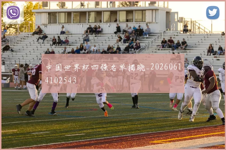 中国世界杯四强名单揭晓_20260614102543