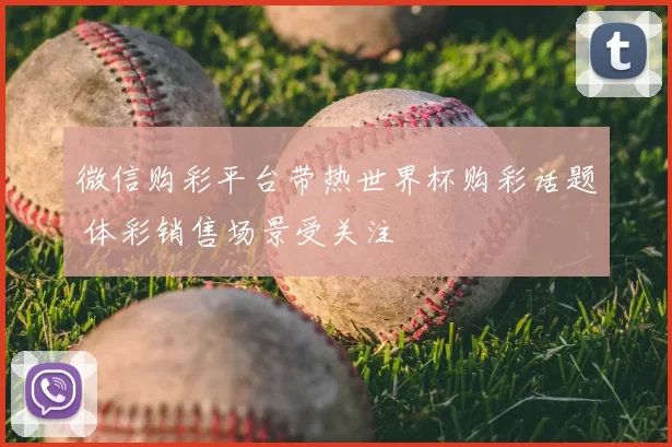 微信购彩平台带热世界杯购彩话题 体彩销售场景受关注