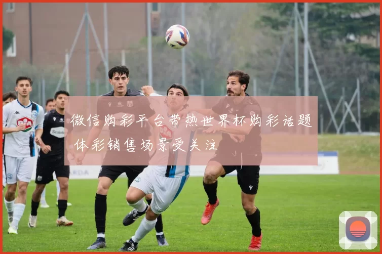 微信购彩平台带热世界杯购彩话题 体彩销售场景受关注