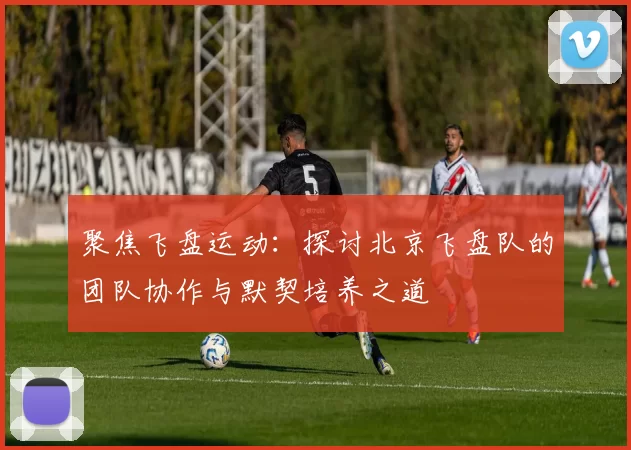 聚焦飞盘运动:探讨北京飞盘队的团队协作与默契培养之道