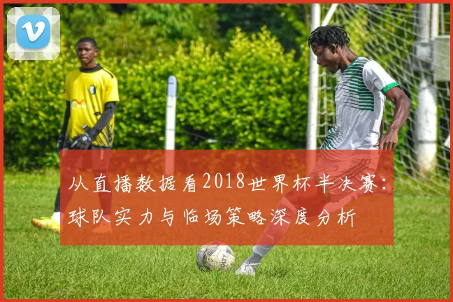 从直播数据看2018世界杯半决赛:球队实力与临场策略深度分析