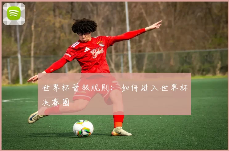 世界杯晋级规则：如何进入世界杯决赛圈