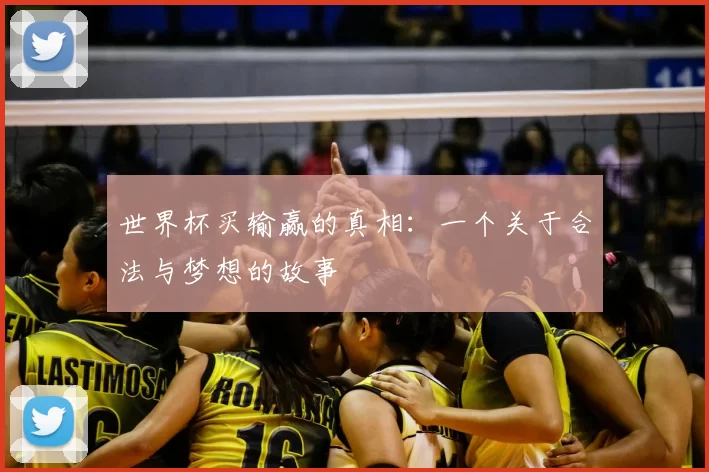 世界杯买输赢的真相:一个关于合法与梦想的故事