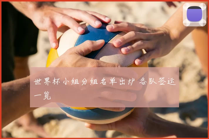 世界杯小组分组名单出炉 各队签运一览