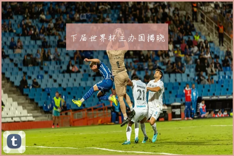 下届世界杯主办国揭晓